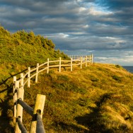 Michaud Point Fence Line