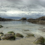 Cove in Pacific Rim National Park